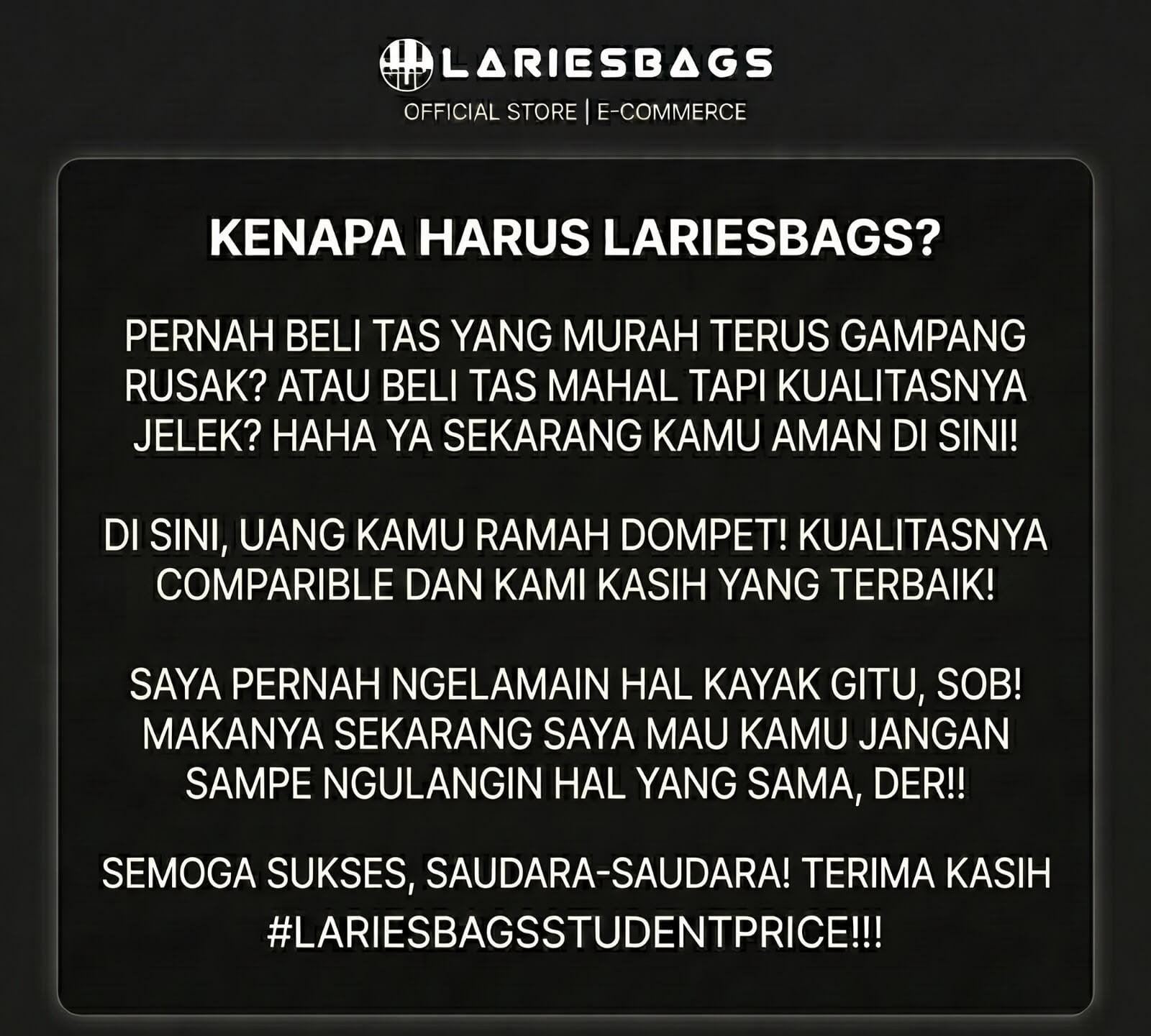 Kenapa Harus LariesBags